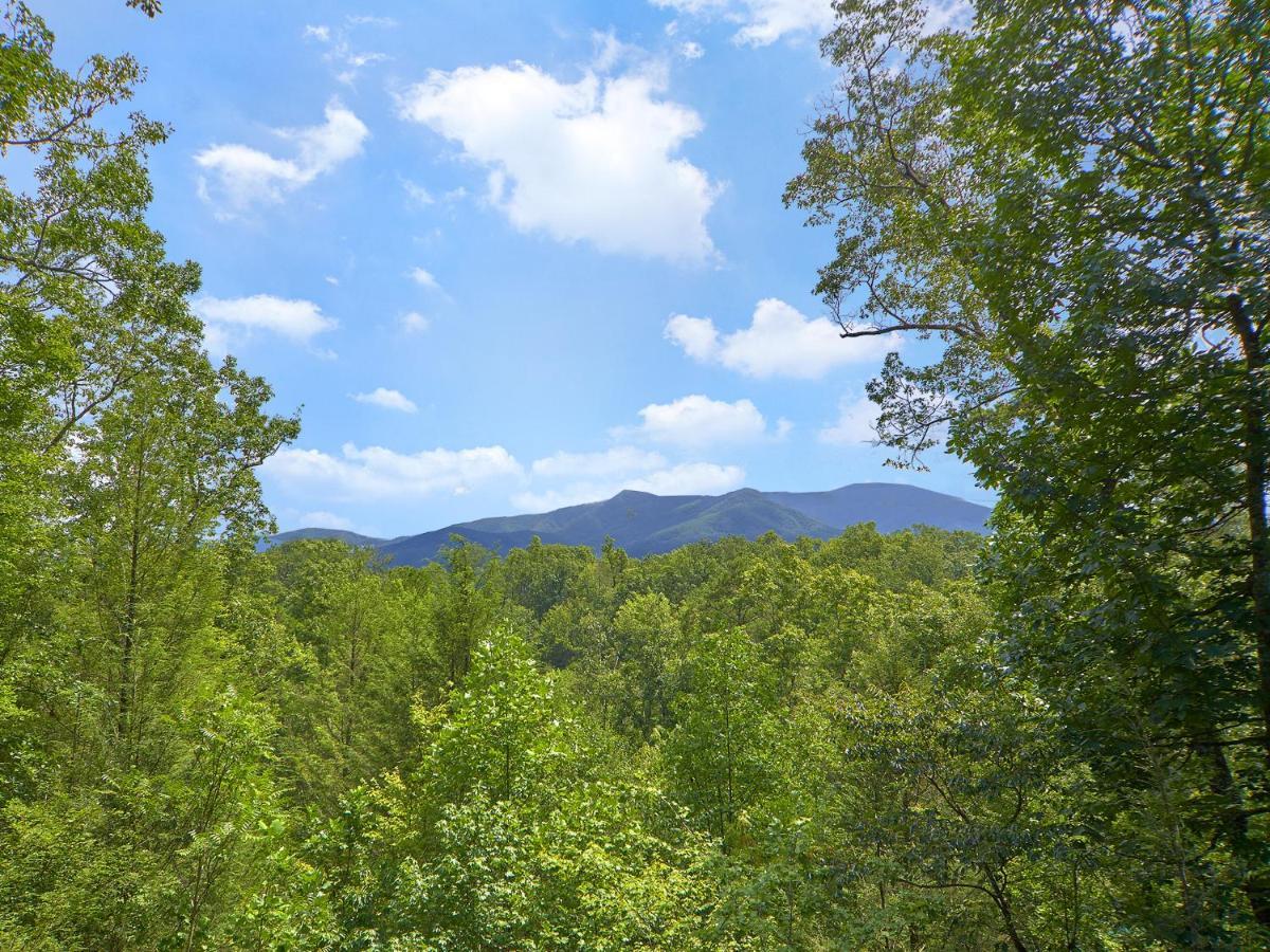 Dew South Vila Gatlinburg Exterior foto